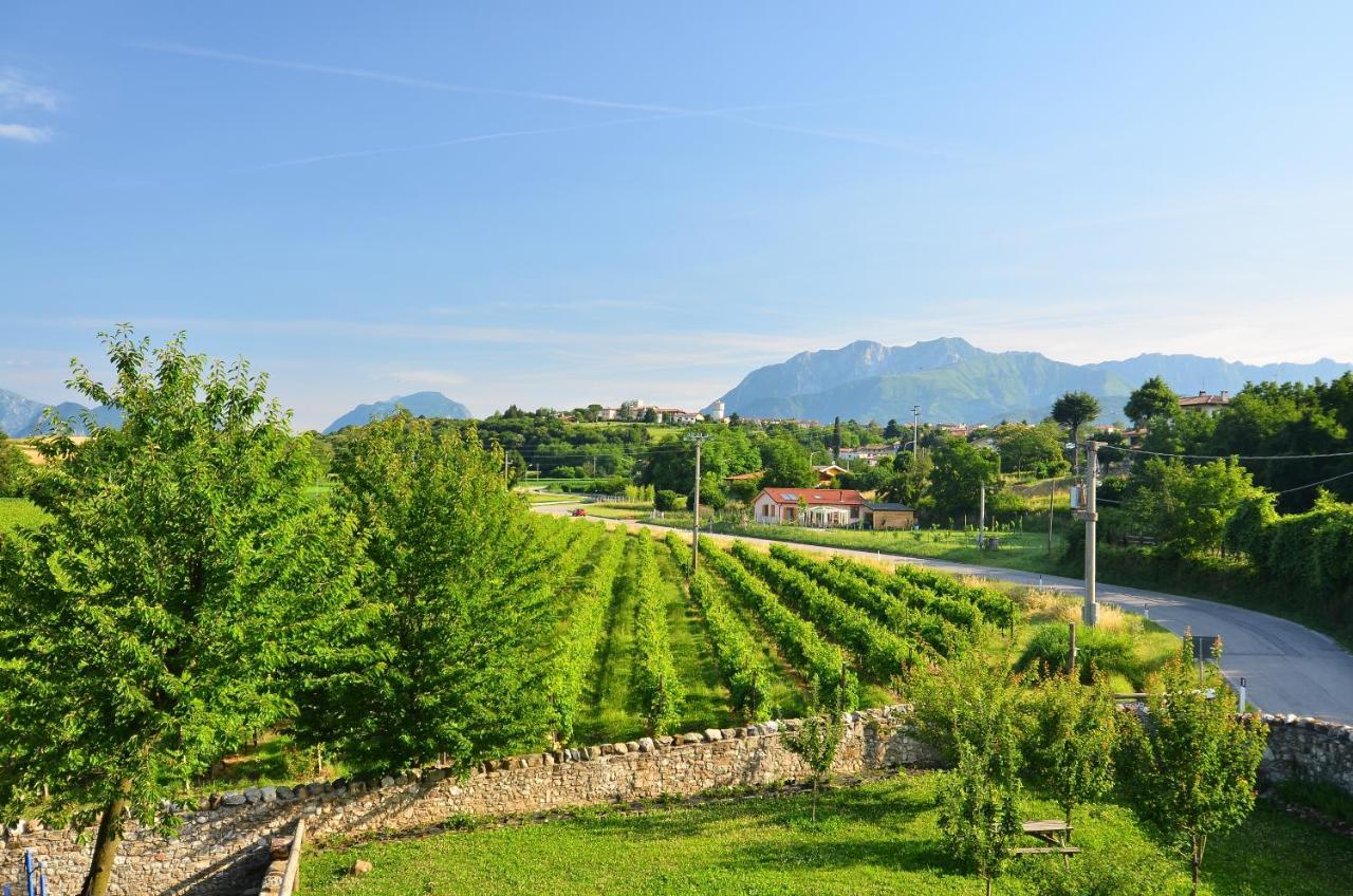 Agriturismo Borgo Floreani Vendoglio Esterno foto